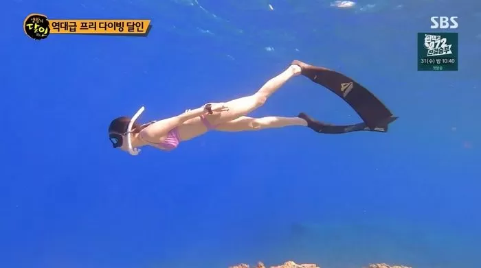 인사이트