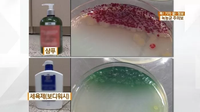 인사이트