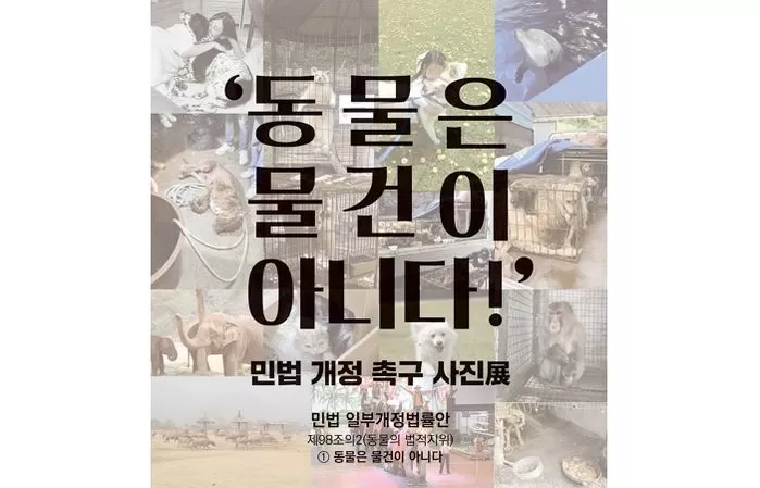 ‘동물은 물건 아니다’ 31일 민법 5