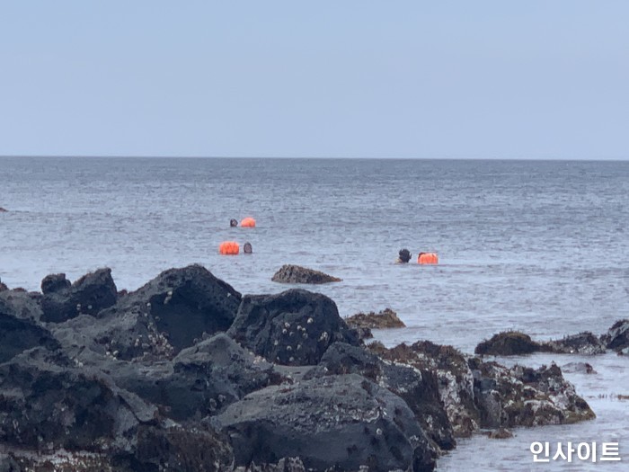 제주도 가는 ‘금사’ 불륜 커플들, 비행기 표 취소하느라 지금 난리가 났어요...“이혼위기 임박”