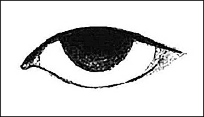 점쟁이들이 “‘물고기 눈매’ 가진 남자 절대 만나면 안 된다”고 하는 이유