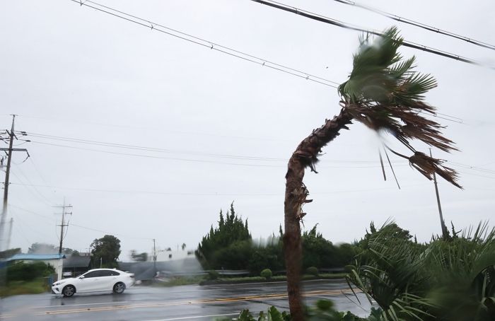 ‘힌남노’ 오는데 ‘제주 수학여행’ 간다던 대구의 고등학교...비판 거세지자 바로 ‘이렇게’ 했습니다