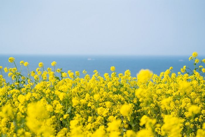 “여긴 저희만 아는 곳인데”...제주 한 달 살기 하는 여행자들이 알려주는 찐맛집 4곳