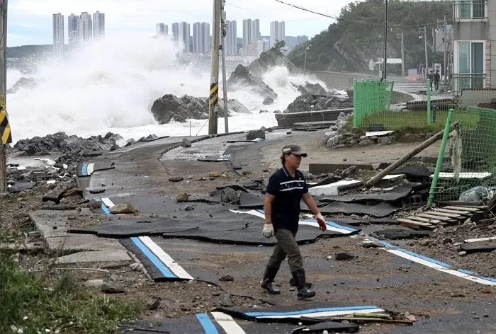 인사이트