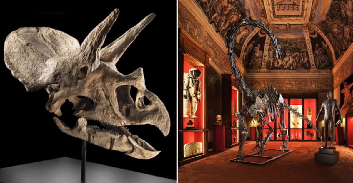 "전 세계 딱 하나뿐인 공룡 화석 팝니다"...슈퍼 부자들만 들어갈 수 있는 '비... - 뉴스 썸네일 이미지