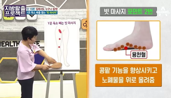 인사이트
