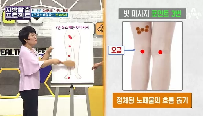 인사이트