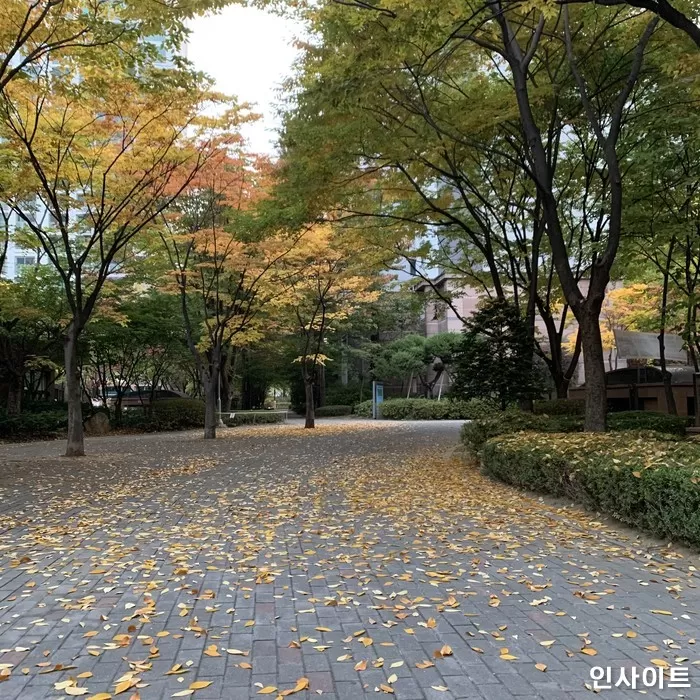 인사이트