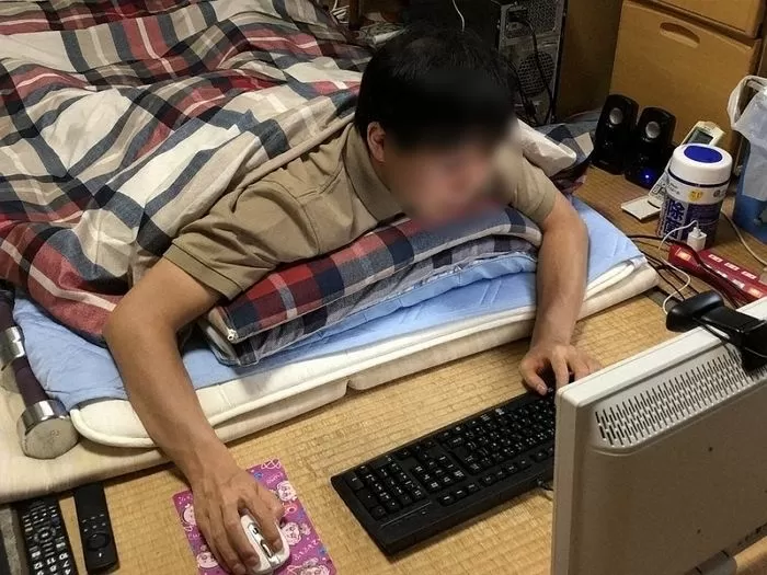 인사이트