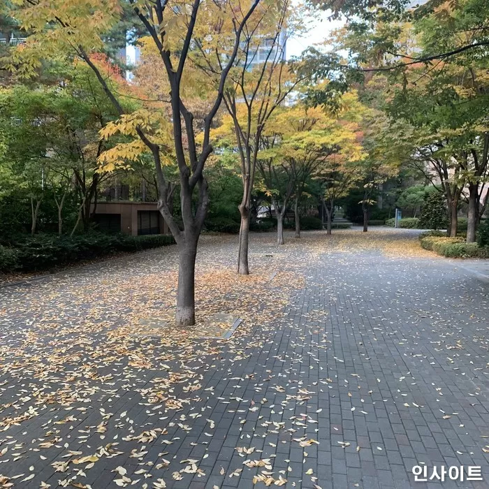 인사이트