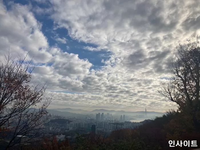 인사이트