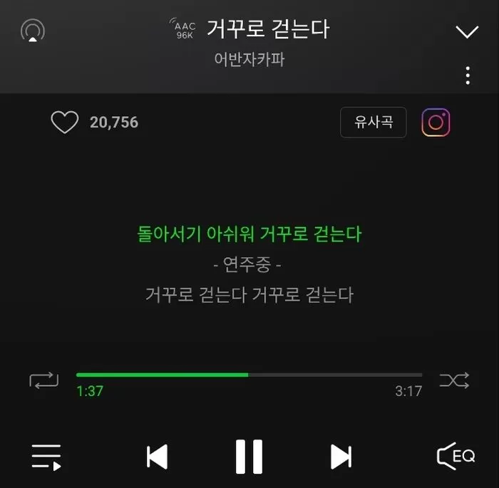 인사이트