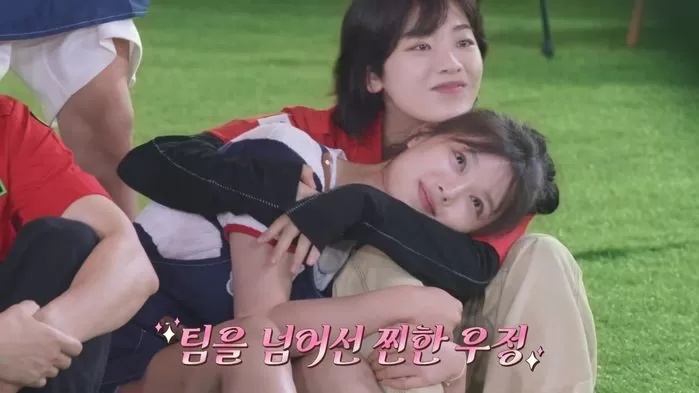 인사이트