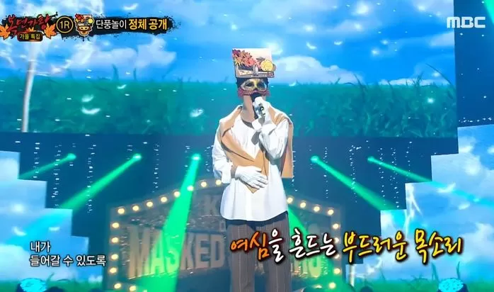 인사이트