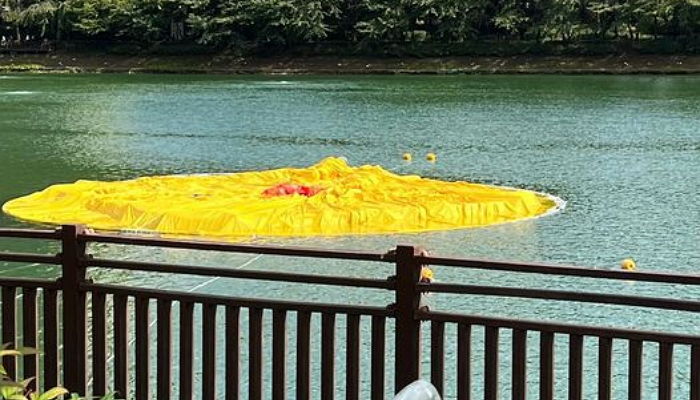 “잠실 석촌호수에 러버덕 보러 갔는데 계란 후라이만 있어요”...러버덕 쓰러진 사연