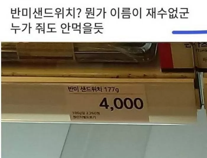 인사이트