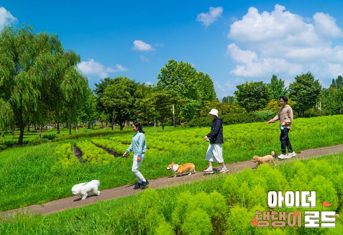 큰 호응 속에 마무리한 ‘아이더 댕댕이 로드’... 반려견과 함께 걷는 특별한 트래킹