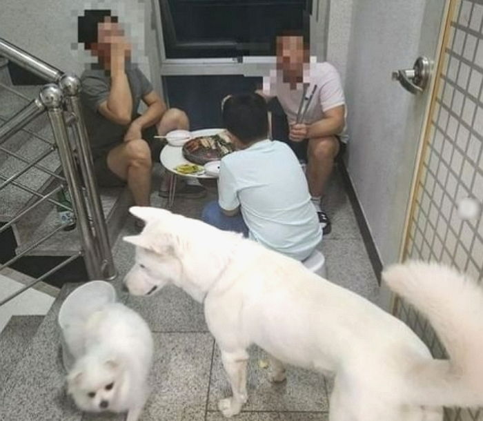 야밤에 복도 계단 시끄러워 나갔더니...“세 사람이 소고기를 구워먹고 있어요”