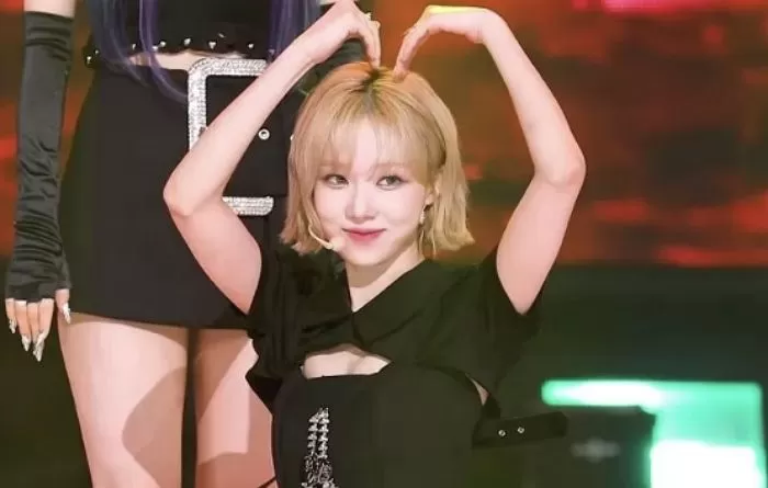 인사이트