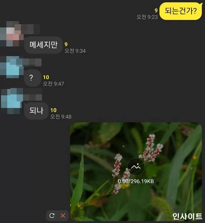 인사이트
