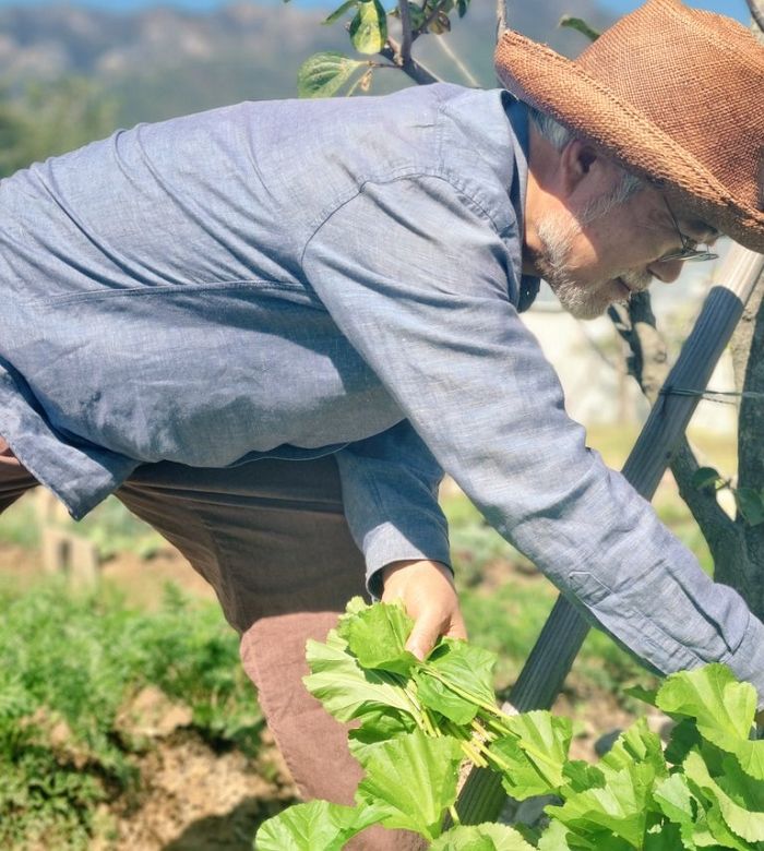 文 전 대통령 지지자 흥분하게 만든 문재인♥김정숙의 달달한 ‘럽스타그램’ 포착