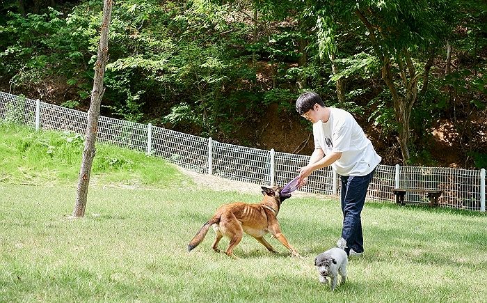 우리집 소중한 댕댕이와 함께 갈 수 있는 선마을 ‘반려견 힐링캠프’ 패키지