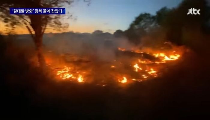 ‘갈대숲 방화범’ 잠복 끝에 검거...60대 여성 ‘이 물건’ 손에 들고 범행 부인