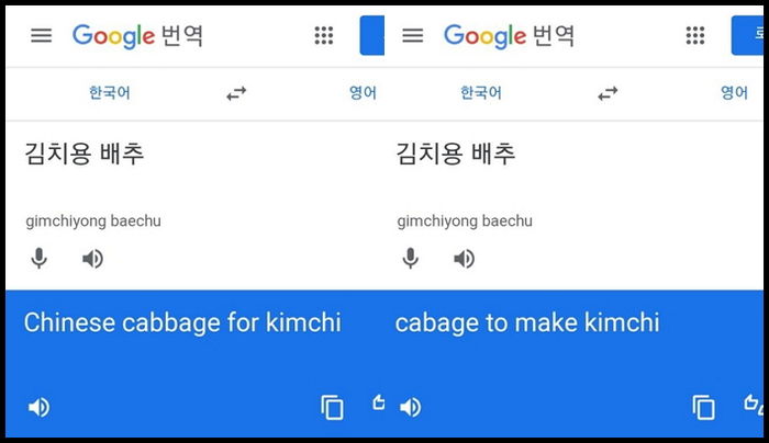 구글, 한국인들의 끈질긴 요청에 결국 ‘김치용 배추’ 영어 번역서 ‘Chinese’ 삭제