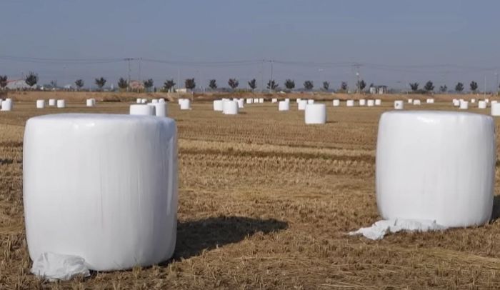 시골 논밭서 누구나 한번은 본 ‘흰색 포대’...정체 알려드립니다