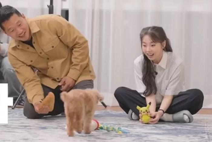 인사이트