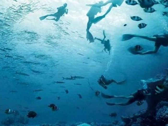 “물고기·다이버 vs 사람 얼굴” 둘 중 ‘이것’ 먼저 보이면 당신은 공감능력 만렙