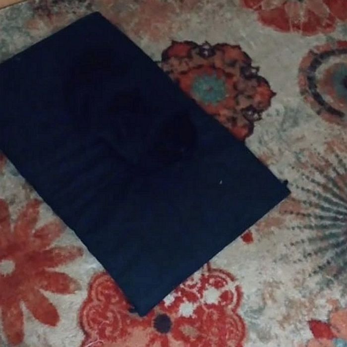 사라진 ‘반려묘’ 찾아다니던 집사 깜짝 놀라게 만든 은신 장소 (사랑스러운 영상)