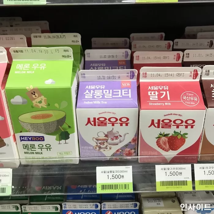 인사이트