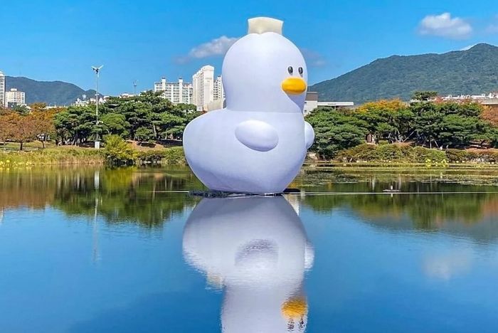 김해에 생긴 ‘러버덕 사촌’ 더기...인싸들 관심 대폭발 (+사진)