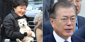 지금 이미지