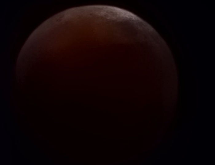 “월식 or 셀카” 주호민이 인스타에 올린 사진 한 장, 팬들 난리가 났다