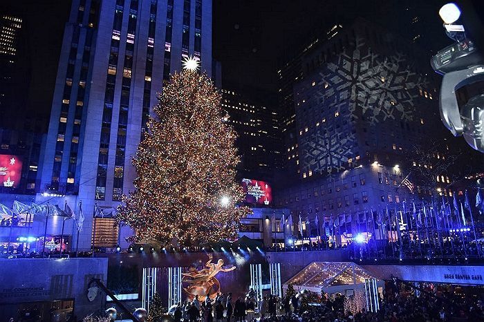 “트리 조명 vs 산타 할아버지 vs 케이크”...크리스마스 하면 가장 먼저 무엇이 떠오르나요 (성격 테스트)