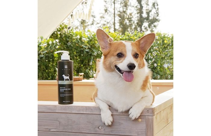 반려동물을 위한 펫 라인 론칭한 비알머드가 선보이는 ‘릴리프 머드 샴푸 포 도그스’