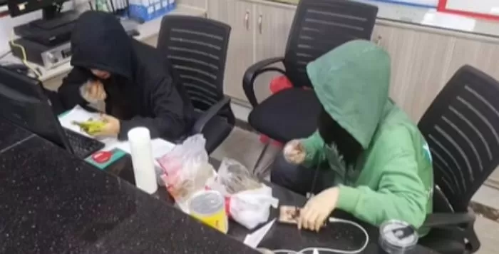 인사이트