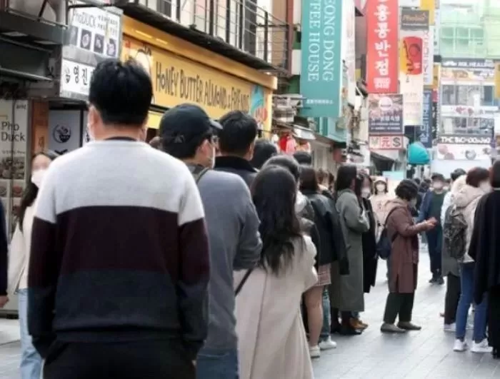 인사이트