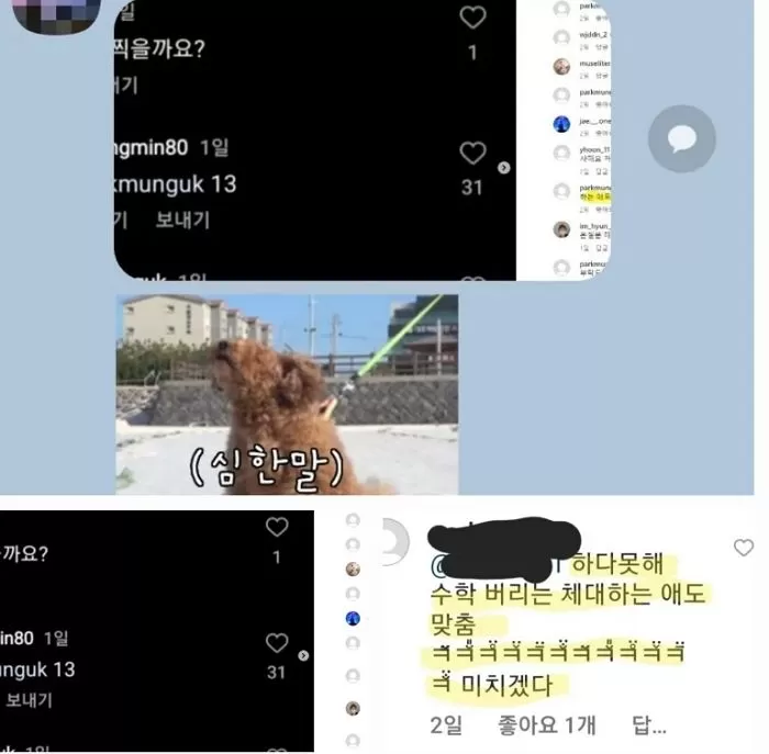 인사이트