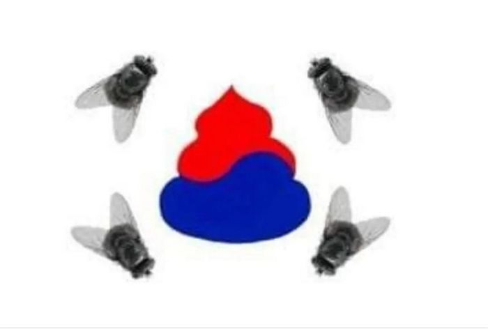 “우리는 축하해 줬는데...” 똥파리 태극기로 대한민국 조롱한 일본 누리꾼