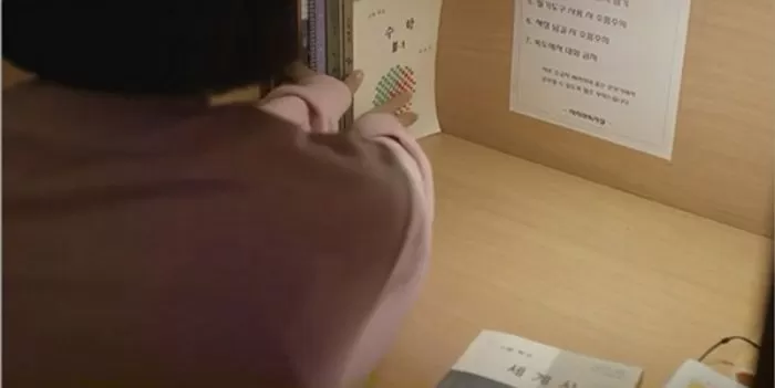 인사이트