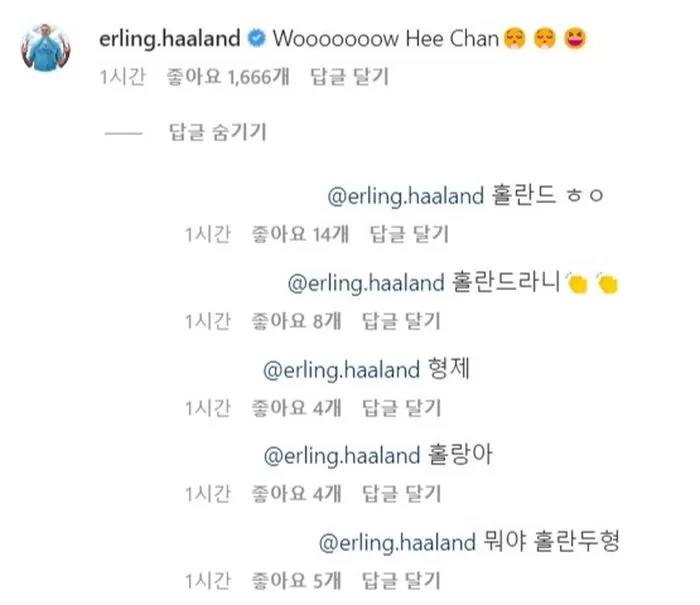 인사이트