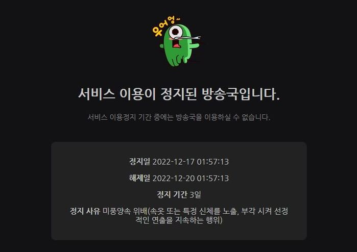 ‘노출’ 적당히 하랬는데도 또 선 넘어 정지당해버린 아프리카TV 유명 여캠 (+정체)