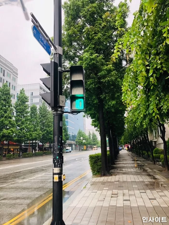 인사이트