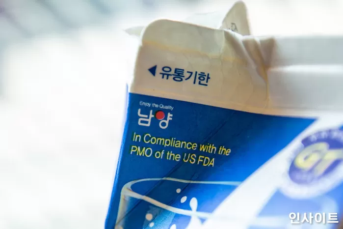 인사이트
