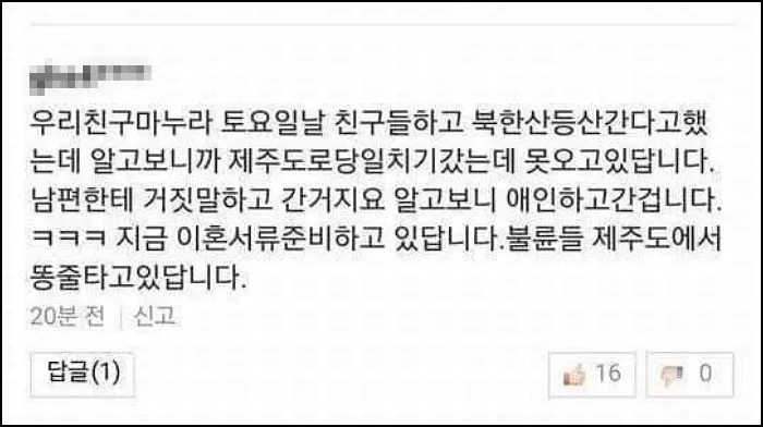 인사이트
