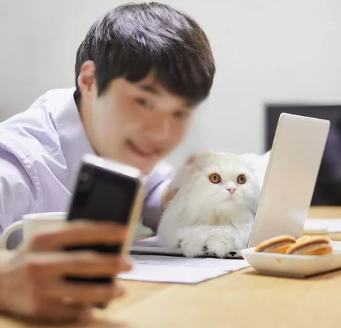 인사이트