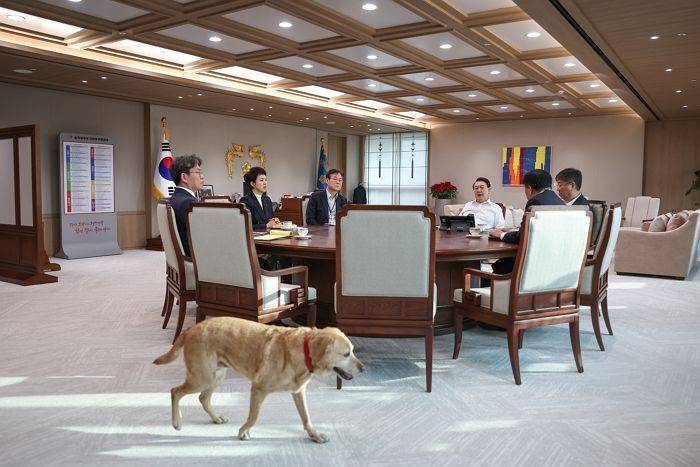 윤석열 대통령 회의할 때 옆에서 조용히 꼭 달라붙어 있던 댕댕이의 정체